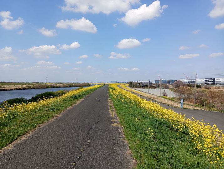 ̓BeB؂̉Ԃ̑N₩t̂񂾐͋̕CȂǐF̍Č͗ǍDB摜␳ɒ[ɋȂ_D܂