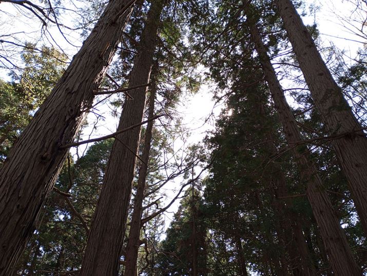 ؘRBeAÍ̂\}ւ̑ϐ𒲂ׂBHDR͓삵ĂȂAÕ̃fBe[͔rIۂĂBtɂtAS[Xg͗}ĂA1~̐iƂĂ͑zȏɂ悭ʂĂ