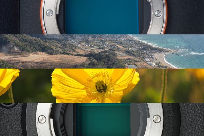 A2ڂ͍f@̉掿ɂčlĂ݂܂