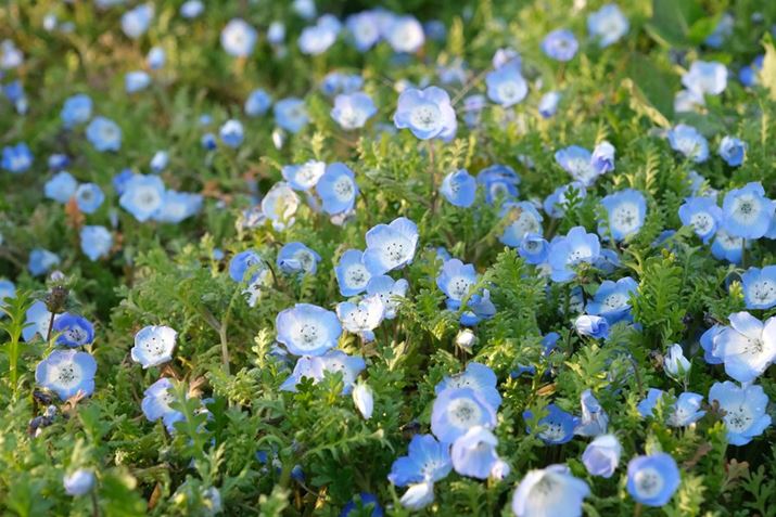 X-H2AXF16-80mmF4 R OIS WRA48mmi35mmZ72mmjAISO3200AF5.6A1/750bAzCgoXFAtBV~[VFPROVIA/X^_[hBeʐ^i7728×5152A22.3MBj