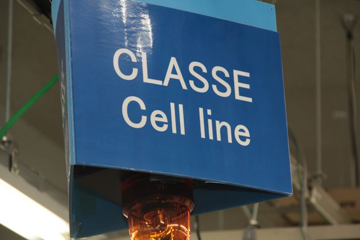 wɂ͉ғĂȂAO[ṽuhłJi_́uCLASSEiNbZjviYĂ