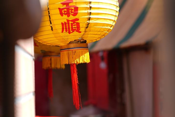 ][̏œ_70mm/JF4Œ؊X̒񓔂BeBwiɂ낢Ȃ݂̂Ă܂Awi{JƂŎ̒񓔂mɂȂ܂7R VAFE 20-70mm F4 GA70mmAF4A1/100bAISO50AzCgoXFVBeʐ^i9504×6336A32.2MBj