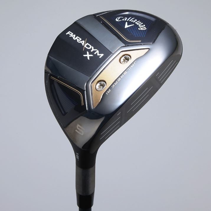 fUC̓X^_[hĆup_CvƋʂłB|CǵAŚuXv̗L