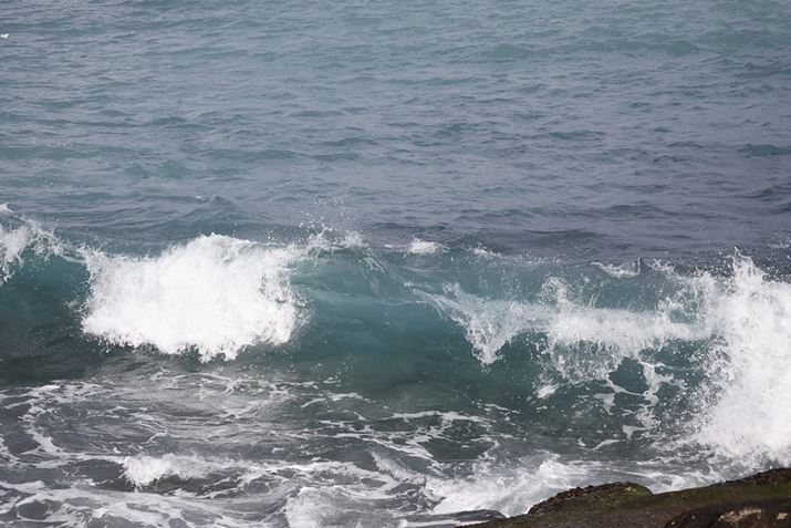 uEOS R50v͓dq斋Vb^[ōō1/4000bAdqVb^[ōō1/8000b̃Vb^[Xs[hɑΉB̎ʐ^́AgӂuԂ1/4000b̍Vb^[Ŏʂ~߂܂EOS R50ARF-S55-210mm F5-7.1 IS STMA55mmi35mmZ88mmjAF5A1/4000bAISO640AzCgoXFI[gAsN`[X^CFX^_[hBeʐ^i6000×4000A10.0MBj