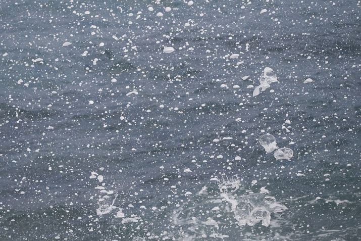 ]̏œ_ŔюU򖗂_܂Bł͂Ƃ炦Ȃ̌`̖ʔۓIłEOS R50ARF-S55-210mm F5-7.1 IS STMA121mmi35mmZ194mmjAF7.1A1/4000bAISO800AzCgoXFI[gAsN`[X^CFX^_[hBeʐ^i6000×4000A9.7MBj