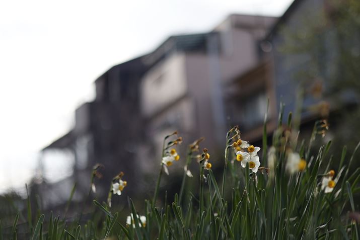 TCȟɉꂽ̃sƂt̎ƁAilF1.8炩ȃ{PĈ悢1Ɏdオ܂EOS R50ARF50mm F1.8 STMA50mmi35mmZ80mmjAF1.8A1/2500bAISOP00AzCgoXFI[gAsN`[X^CFX^_[hBeʐ^i6000×4000A5.1MBj