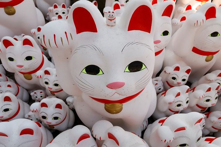 L̒uɔĎBeBii荞񂾂ƂŎl̔L܂łƃNAȕ`ʂōČł܂EOS R50ARF16mm F2.8 STMA16mmi35mmZ26mmjAF18A1/80bAISOP600AzCgoXFI[gAsN`[X^CFX^_[hBeʐ^i6000×4000A9.6MBj