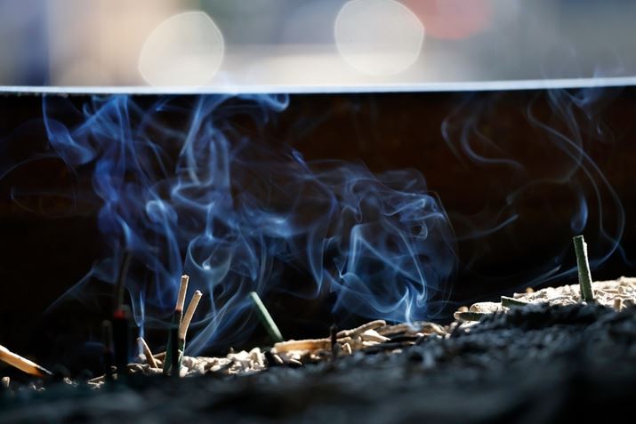 ߂̃Vb^[Xs[hł̉Lb`܂B炩鉌̕`ʂC悭A܂AÕVhEmCŶȂXbLƂ`ʂōDۂłEOS R50ARF-S55-210mm F5-7.1 IS STMA158mmi35mmZ253mmjAF7.1A1/320bAISO2500AzCgoXFI[gAsN`[X^CFX^_[hBeʐ^i6000×4000A11.9MBj