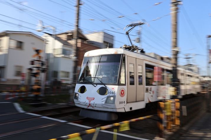 uXyVV[v́uBvŎBeB{͂ƑĂHʓdԂɎAƂڂ\Ƃ̃Mbvʔ1Ɏdオ܂EOS R50ARF-S18-45mm F4.5-6.3 IS STMA18mmi35mmZ29mmjAF20A1/30bAISO100AzCgoXFI[gAsN`[X^CFI[gABe[hFBBeʐ^i6000×4000A9.4MBj