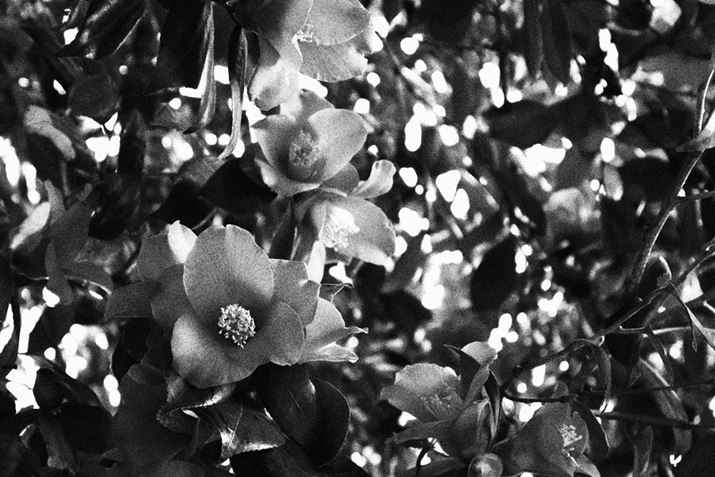 uNGCeButB^[v́utmNvŎBeBtB^[ʂŃUƂւ̎ƃnCCgؘ̖R̔mN̐EςĂĂĂ܂EOS R50ARF-S18-45mm F4.5-6.3 IS STMA45mmi35mmZ72mmjAF6.3A1/160bAISO100AzCgoXFI[gAsN`[X^CFI[gABe[hFtmNBeʐ^i6000×4000A11.8MBj