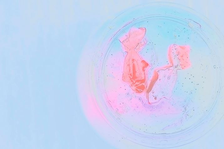 [[َ̋qAuNGCeButB^[v́uʕvvXĎBeBzCgoXuMdvɂĐ邱ƂŐ̃C[Wʂ_܂EOS R50ARF50mm F1.8 STMA50mmi35mmZ80mmjAF4.0A1/250bAISO400AzCgoXFMdAsN`[X^CFX^_[hABe[hFiDAE{ʕBeʐ^i6000×4000A6.6MBj