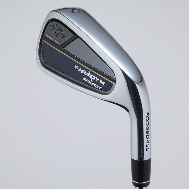 fUC̓X^_[hCup_CvƂقڋʁBuMAX FASTv̋Lڂ̗LɂĔʂł܂