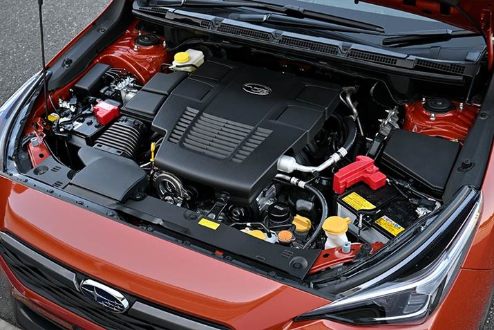 t̕GW}EǧœKB}EguPbg͎A~ƂčBGWUƂ̋U}Ďԑ̂ɓ`鑛UጸĂ܂