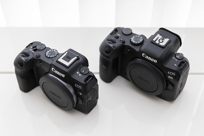 uEOS R8vŁAEuEOS R6vBŜ̃TCYׂĂAuEOS R8v͂ȂX^CbVȃ{fBł邱Ƃ킩B̂悤Ȏ̑傫ȎBe҂̂߂ɁAz[h߂GNXeVObvuEG-E1vp\