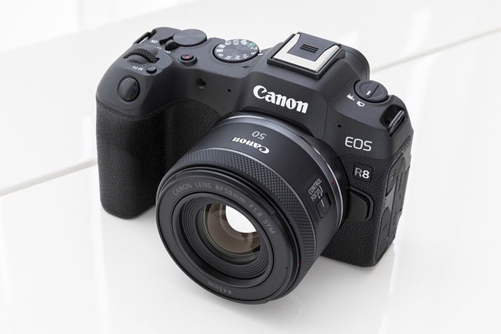 tTCY@Ȃł͂̃{PmF邽߂ɁAPœ_YuRF24mm F1.8 MACRO IS STMvuRF50mm F1.8 STMvgsB̎ʐ^́uRF50mm F1.8 STMvƂ̑gݍ킹BuEOS R8v̏^{fBɂ悭}b`Ă