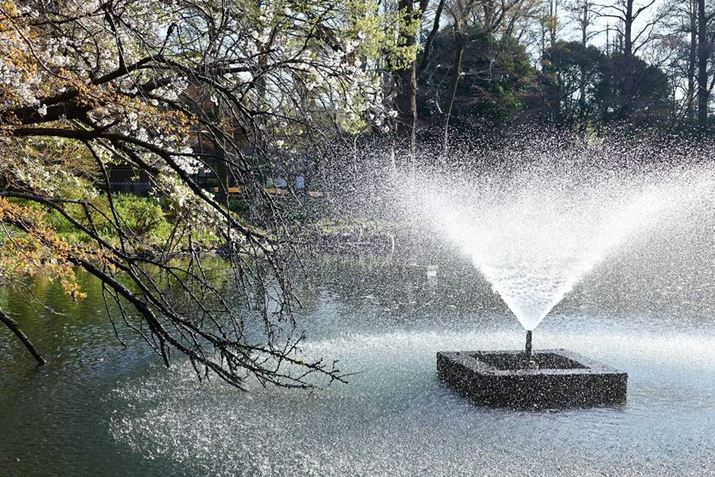 EOS R8ARF24-50mm F4.5-6.3 IS STMA50mmAF7.1A1/800bAISO640AzCgoXFziB2AG1jAsN`[X^CFX^_[hkʐ^i3000×2000A7.8MBj