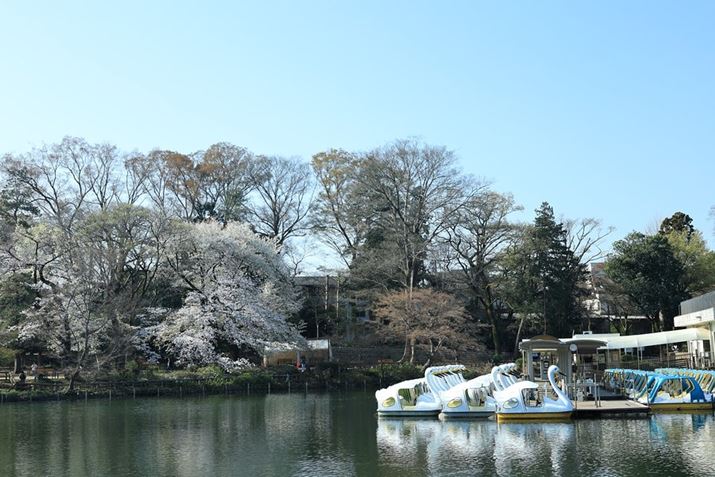 EOS R8ARF24-50mm F4.5-6.3 IS STMA50mmAF6.3A1/200bAISO100AzCgoXFziB3AG5jAsN`[X^CFikʐ^i3000×2000A5.3MBj