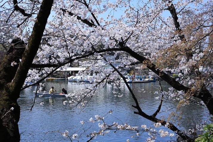 EOS R8ARF24-50mm F4.5-6.3 IS STMA50mmAF6.3A1/400bAISO100AzCgoXFFxi4600KjAsN`[X^CFikʐ^i3000×2000A6.8MBj