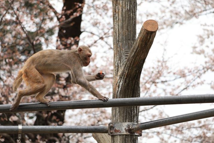 EOS R8ARF100-400mm F5.6-8 IS USMA214mmAF7.1A1/250bAISO320AzCgoXFAsN`[X^CFikʐ^i3000×2000A3.6MBj