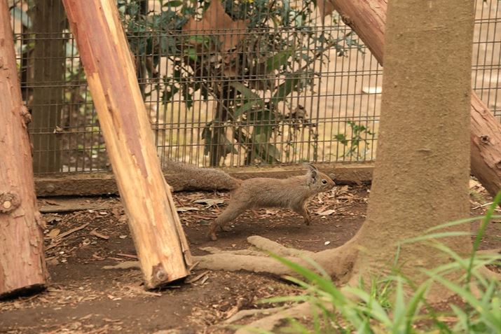 EOS R8ARF100-400mm F5.6-8 IS USMA214mmAF8A1/1000bAISO6400AzCgoXFAsN`[X^CFikʐ^i3000×2000A4.8MBj