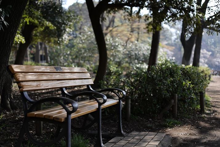 uRF50mm F1.8 STMvŎBeB̌̃x`AwiڂēȂAƂƂÂ߂̃g[Ő؂BC̃JbgAtTCY@ƒPœ_Y̑gݍ킹ł΁ACyɃ{PołEOS R8ARF50mm F1.8 STMA50mmAF2.2A1/1600bAISO200AzCgoXFziB3,0jAsN`[X^CFfBe[dkʐ^i3000×2000A4.6MBj