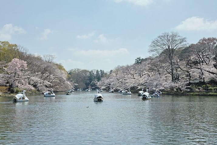 ̗D́uHDR[hvŎBeB̃nCCgX{[g̃VhE̊K݂ɕčČĂBX{[g͓Ă邪ԂĂȂBuHDR[hv͂dオ肪킴Ƃ炵Ȃ肪Ȃ̂ŏʂIԂA͉ƂȂɂȂŎdオEOS R8ARF24-50mm F4.5-6.3 IS STMA50mmAF6.3A1/2500bAISO800AzCgoXFzi0AG2jAsN`[X^CFX^_[hkʐ^i3000×2000A5.3MBj