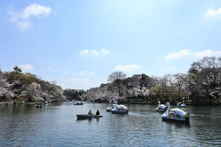 ʏ̎Be[hŎBeBuHDR[hvƂ̈Ⴂ悭킩EOS R8ARF24-50mm F4.5-6.3 IS STMA24mmAF6.3A1/640bAISO100AzCgoXFzi0AG2jAsN`[X^CFikʐ^i3000×2000A4.5MBj