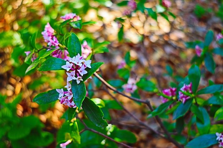 g߂ẴtTCYhƂƂŁAGg[wӎ@\ڂĂBuNGCeButB^[v͂̑\IȂ̂낤BS10ނIłB̎ʐ^́uHDRʒvŎBeEOS R8ARF24-50mm F4.5-6.3 IS STMA50mmAF6.3A1/60bAISO800AzCgoXFFxi4600KjAsN`[X^CFikʐ^i3000×2000A5.2MBj