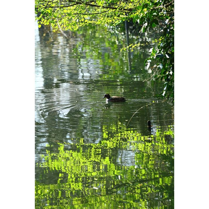 Ȓʑ̌oĎBełBSʁAsg킹̃XgXȂEOS R8ARF100-400mm F5.6-8 IS USMA281mmAF8A1/400bAISO640AzCgoXFziB2AG1jAsN`[X^CFX^_[hkʐ^i2000×3000A5.7MBj