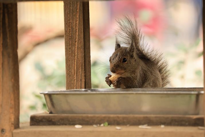 EOS R8ARF100-400mm F5.6-8 IS USMA400mmAF8A1/500bAISO6400AzCgoXFAsN`[X^CFikʐ^i3000×2000A4.0MBj