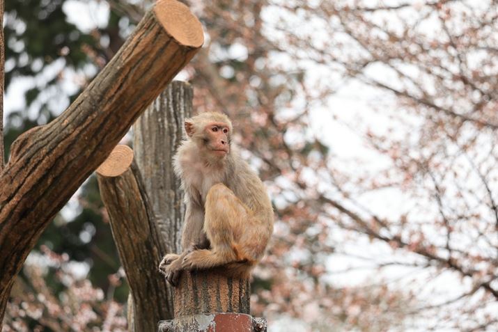 EOS R8ARF100-400mm F5.6-8 IS USMA300mmAF8A1/400bAISO640AzCgoXFAsN`[X^CFikʐ^i3000×2000A3.7MBj