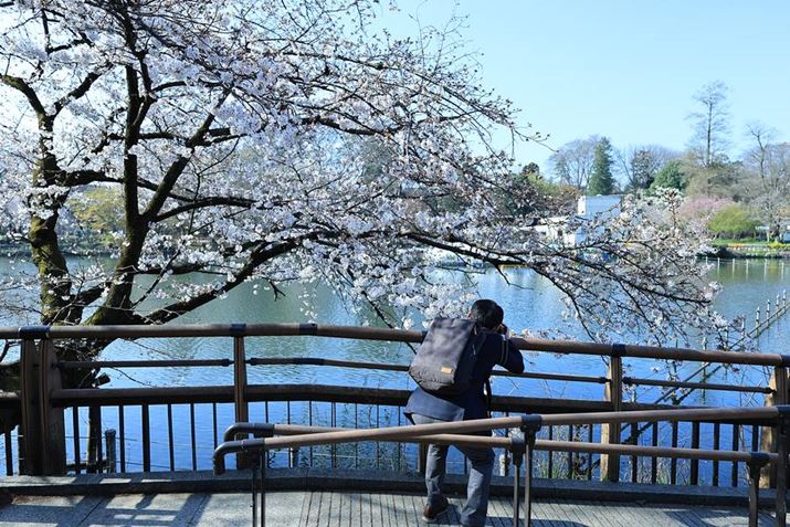 EOS R8ARF24mm F1.8 MACRO IS STMA24mmAF4A1/400bAISO100AzCgoXFFxi4600K/B3AG5jAsN`[X^CFi