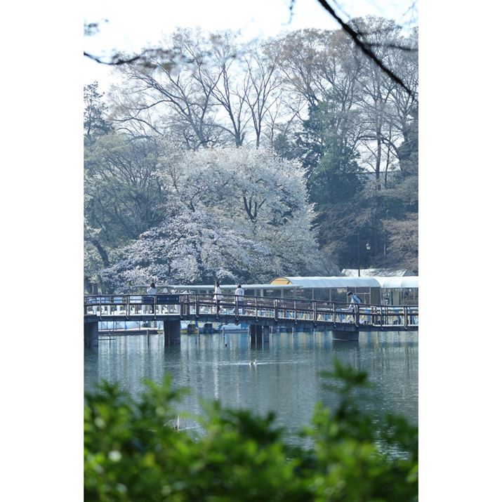 EOS R8ARF100-400mm F5.6-8 IS USMA141mmAF6.3A1/160bAISO100AzCgoXFFxi4600K/B3AG5jAsN`[X^CFfBe[dkʐ^i2000×3000A5.9MBj