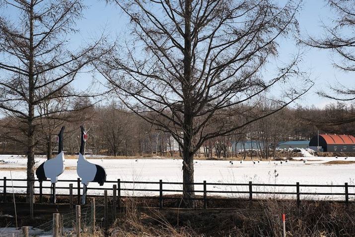 ^`Eԋ߂ɌߌB^`E͒aɔŗāA[߂ɂȂƁAQɋAĂ܂X-S10AXF35mm F1.4 RA35mmi35mmZ53mmjAiDAEAF4.5A1/900bAISO160AzCgoXFI[gi͋CD/R+3AB-4jAtBV~[VFPROVIABeʐ^i6240×4160A16.2MBj