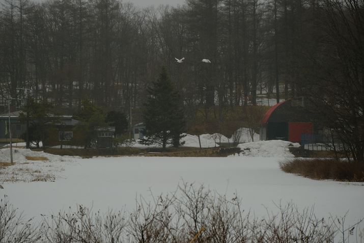 X-S10AXF70-300mmF4-5.6 R LM OIS WRA91mmi35mmZ136mmjAiDAEAF4.5A1/900bAISO160AzCgoXFAAtBV~[VFVelviaBeʐ^i6240×4160A12.5MBj