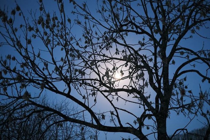 wiɁB5OɉHɓ܂AłɊCO̒c̋qŋ̏͂ςłBׂAHX-S10AXF35mm F1.4 RA35mmi35mmZ53mmjAiDAEAF1.4A1/14bAISO3200AzCgoXFAiR{2AB|2jAtBV~[VFNVbNlKBeʐ^i6240×4160A16.3MBj