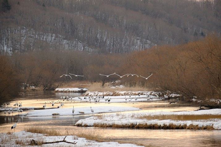 H̒߁B][300mmi35mmZ450mmjŎBe܂B肽ʁBHł^`EtĎB肽΁A35mmZŏœ_500&#12316;600mm炢͕KvȂƎv܂X-S10AXF70-300mmF4-5.6 R LM OIS WRA300mmi35mmZ450mmjAiDAEAF5.6A1/50bAISO400AzCgoXFI[gi͋CD/R+3AB-4jAtBV~[VFVelviaBeʐ^i6240×4160A14.3MBj