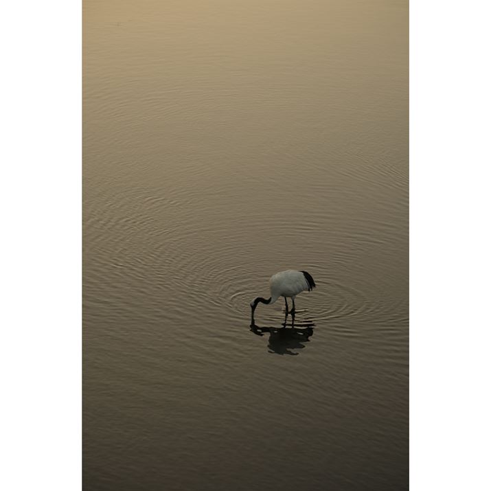 X-S10AXF70-300mmF4-5.6 R LM OIS WRA91mmi35mmZ136mmjiDAEAF5.6A1/280bAISO160AzCgoXFFxݒi8100KjAtBV~[VFPRO Neg.StdBeʐ^i4160×6240A10.4MBj