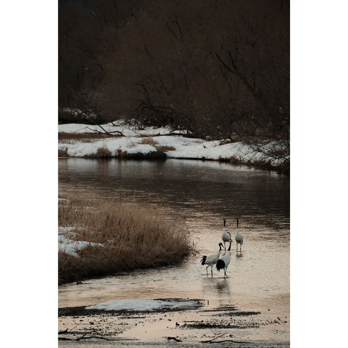 X-S10AXF70-300mmF4-5.6 R LM OIS WRA300mmi35mmZ450mmjAiDAEAF5.6A1/110bAISO800AzCgoXFFxݒi8100KjAtBV~[VFNVbNN[Beʐ^i4160×6240A14.2MBj