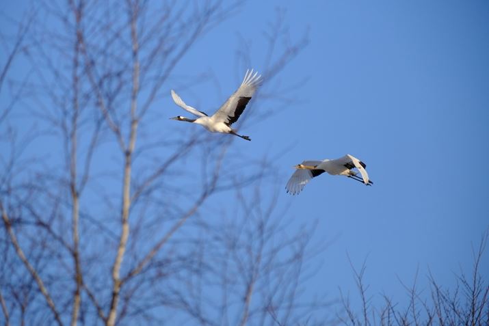 X-S10AXF70-300mmF4-5.6 R LM OIS WRA300mmi35mmZ450mmjAiDAEAF5.6A1/2500bAISO800AzCgoXFI[gAtBV~[VFVelviaBeʐ^i6240×4160A11.2MBj