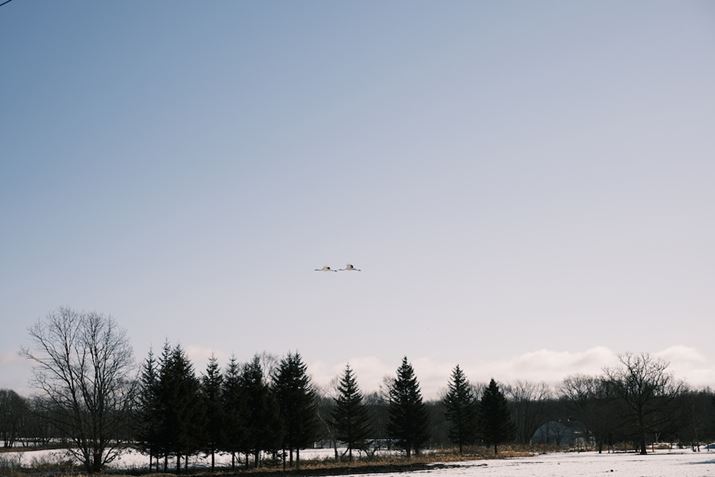 X-S10AXF35mm F1.4 RA35mmi35mmZ53mmjAiDAEAF3.6A1/4000bAISO160AzCgoXFI[gi͋CD/R+3AB-4jAtBV~[VFNVbNlKBeʐ^i6240×4160A10.8MBj