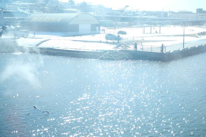 X-S10AXF35mm F1.4 RA35mmi35mmZ53mmjAiDAEAF1.4A1/4000bAISO160AzCgoXFiR-1AB-1jAtBV~[VFPROVIABeʐ^i6240×4160A13.3MBj