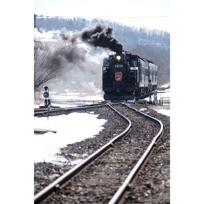 ~̎90قǂŏI_̕Wɒ܂BĂыq悹A܂Ԃ^]ŋHwɌ܂AłƎBe^CBLOʐ^B邽߂ɁAw͑ςȓ킢ɂȂ܂X-S10AXF70-300mmF4-5.6 R LM OIS WRA258mmi35mmZ388mmjAiDAEAF5.6A1/480bAISO160AzCgoXFI[gi͋CDjAtBV~[VFPRO Neg.HiBeʐ^i4160×6240A11.1MBj