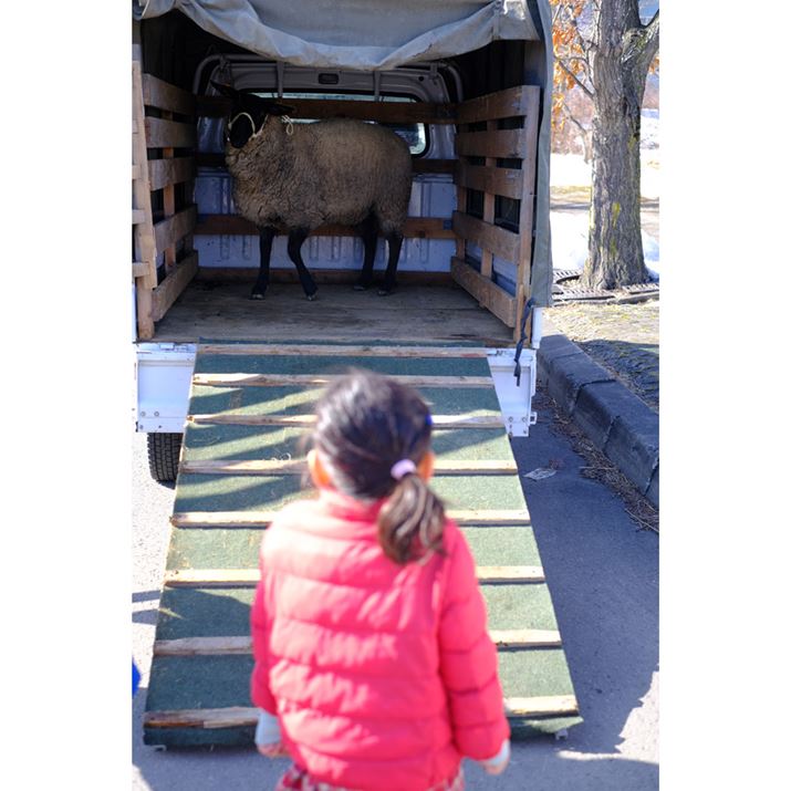 X-S10AXF35mm F1.4 RA35mmi35mmZ53mmjAiDAEAF2.8A1/400bAISO160AzCgoXFI[gi͋CDjAtBV~[VFVelvia