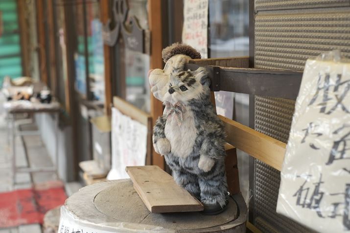 X-S10AXF35mm F1.4 RA35mmi35mmZ53mmjAvOI[gAF3.2A1/400bAISO160AzCgoXFI[gi͋CD/R0AB-1jAtBV~[VFETERNA/Vl}Beʐ^i6240×4160A11.6MBj