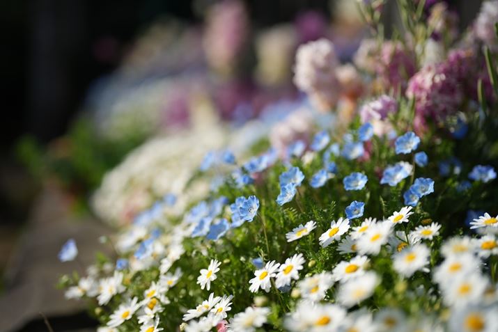 uFE 50mm F1.2GMvŎBeBق2{̃Yƍ킹邽߂ɁAilF1.4ɂă{PmFĂ݂܂7 IVAFE 50mm F1.2 GMAISO100AF1.4A1/6400bAzCgoXFI[gANGCeBubNFSTBeʐ^i7008×4672A17.5MBj