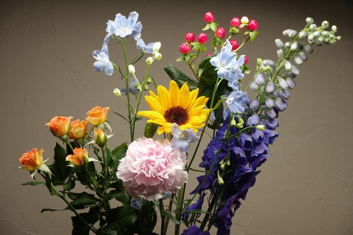 ԁA΁A3FԂʑ̂ɂĂ݂BgpƖ͐Fx6500K̍FLEDƖŁAzCgoX6500Kɐݒ肵