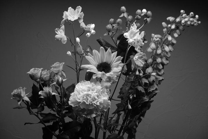 K-3 Mark III MonochromeAHD PENTAX-DA 20-40mmF2.8-4ED Limited DC WRA40mmi35mmZ61mmjAISO200AF11A0.6bBeʐ^i6192×4128A10.0MBj