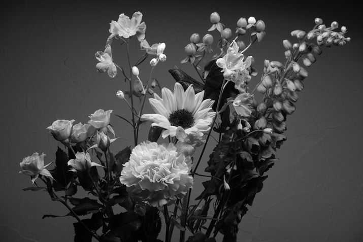 K-3AHD PENTAX-DA 20-40mmF2.8-4ED Limited DC WRA40mmi35mmZ61mmjAISO200AF11A0.6bBeʐ^i6192×4128A9.8MBj