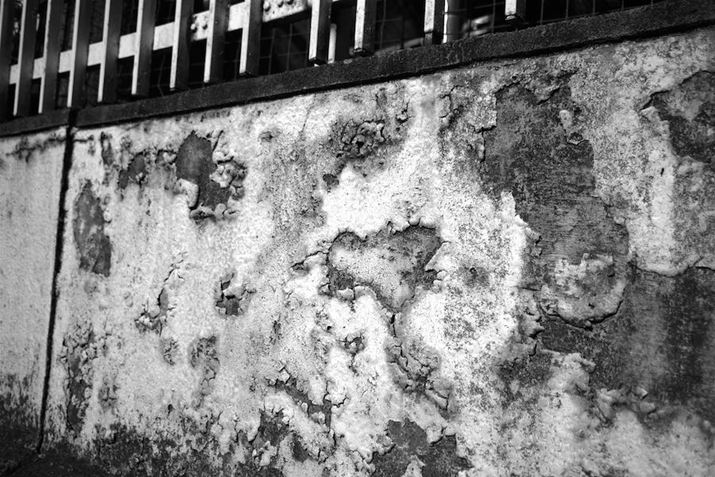 K-3 Mark III MonochromeAHD PENTAX-DA 21mmF3.2AL LimitedA21mmi35mmZ32mmjAISO200AF3.2A1/8000bAJX^C[WFn[hAfW^tB^[F󊴃mN[i3jAnCCg␳FItAVh[␳FI[gAJPEGBeʐ^i6192×4128A17.3MBj